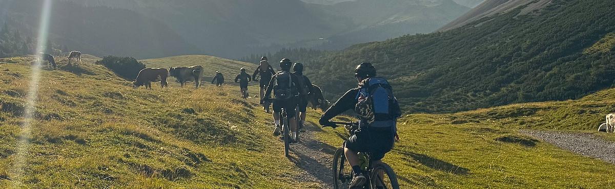 Mikroskopieren im NwT-UnterrichtSchmuckbild Buigen-Gymnasium