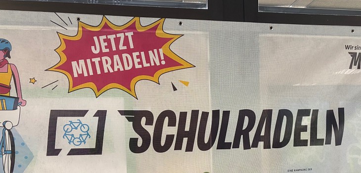 Bild zum Artikel